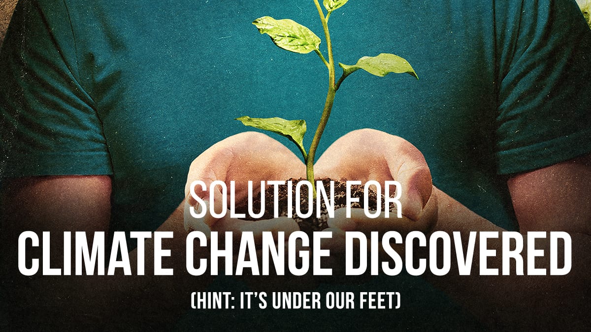 whiteoakpasture's tweet photo. Farming must be more than sustainable. The upcoming film Kiss the Ground explores how, by regenerating the world’s soils, we can stabilize Earth’s climate, restore lost ecosystems & create abundant food supplies https://t.co/RDbzTTWzGN #KisstheGround #ClimateChangeCured https://t.co/B2b6EqDcYX