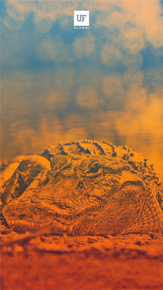 ufalumni's tweet photo. 🐊 📲

#WallpaperWednesday #GoGators https://t.co/ePjeLe4JQw