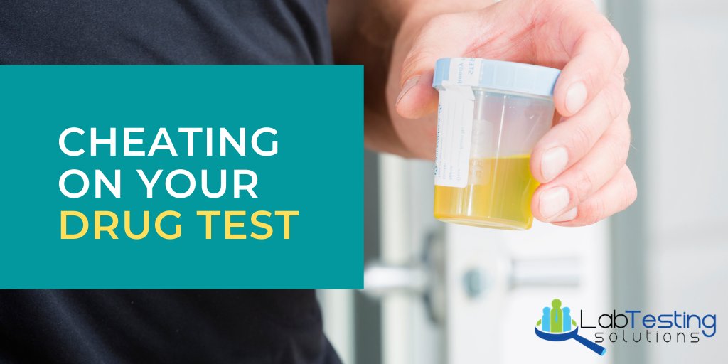 LabTestingUSA's tweet image. Thinking of cheating on your upcoming #EmploymentDrugTest ? Think again..

ow.ly/4CiK50Bm9In