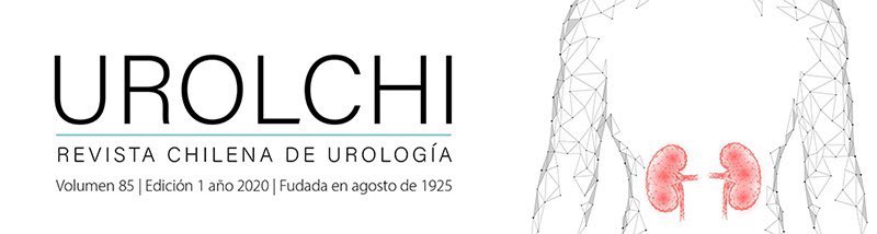 Urolchi's tweet photo. Destacamos un artículo interesante publicado en la nueva edición de nuestra revista: ‘Análisis de costos de Ureterorenoscopio flexible desechable vs reutilizable, desde la perspectiva de las instituciones de salud’, del Dra. Valentina Cortínez. Artículo👉 https://t.co/7Ri6rOTccH https://t.co/g20yfjJiQR