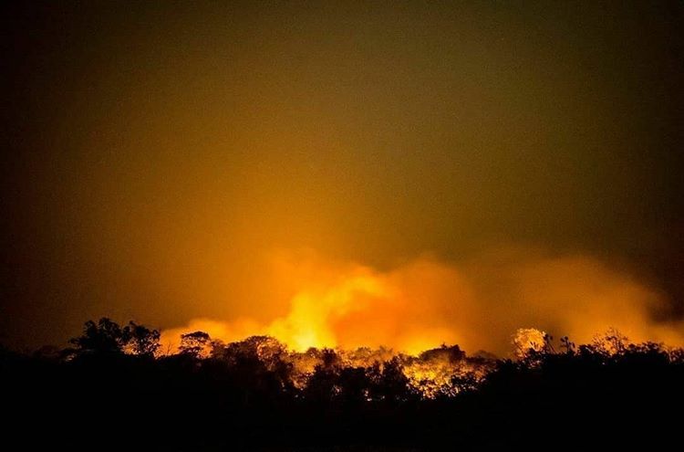 4lascayoung's tweet photo. Quando era na Austrália todo mundo se mobilizou. MAS AGORA É O SEU PAÍS PEGANDO FOGO.. ACORDEM #SavePantanal https://t.co/S2NDFHkD3e