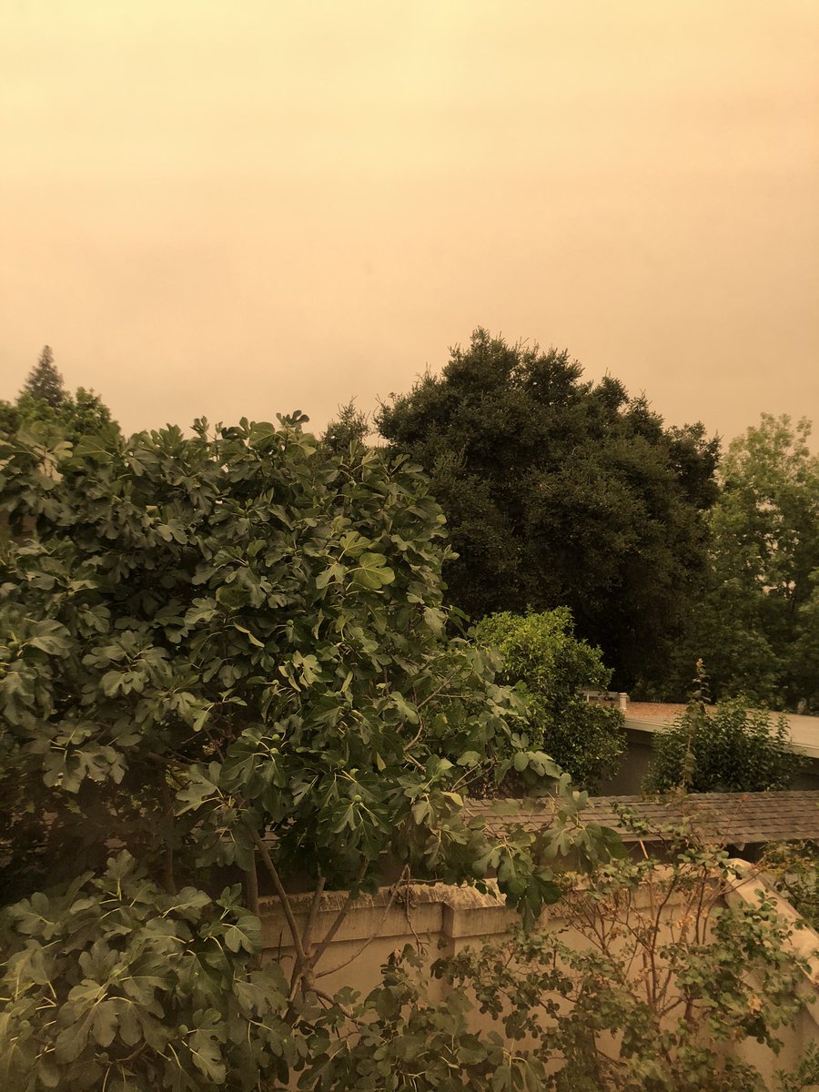 heypmiller's tweet photo. The smoky sky in Menlo Park, California today. https://t.co/3qNtm5ROsf