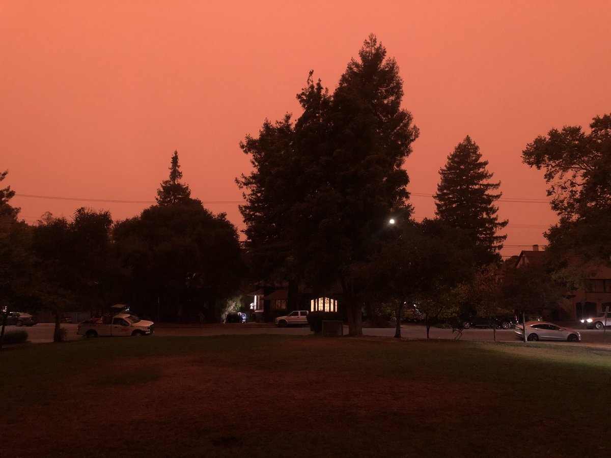 Berkeleyside tweet media