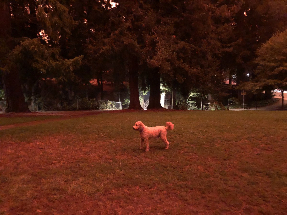 Berkeleyside tweet media