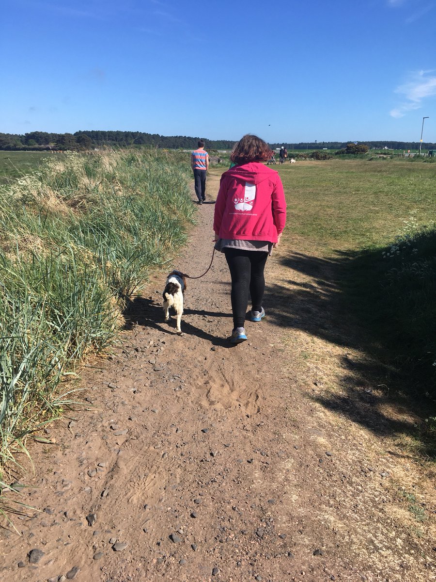 emctrust's tweet photo. How far will Maggie go #RoundBritainYourWay?🐶
This month the 10-month-old sprocker spaniel who loves to run will be wearing a tracker to log her miles. You can place your bets here thanks to our lovely friend @katelsteven - https://t.co/VnVpklGqUW https://t.co/l1fDEITecT