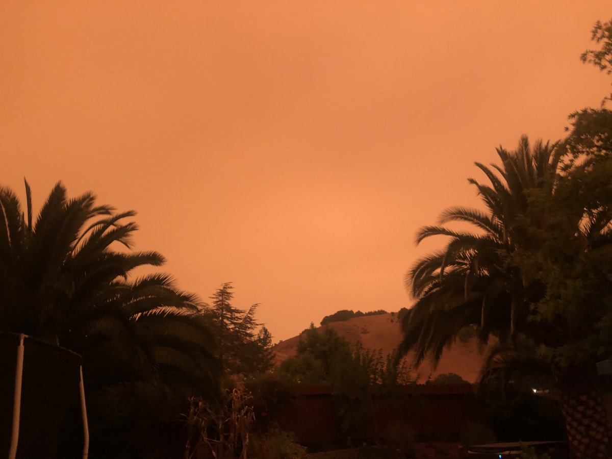 DinosaurFirst's tweet photo. This is life in my California backyard right now. Today's forecast was for sunny skies. Instead, there's ash covering everything. There are a dozen separate fires burning. 

California is a postcard from the future. 

#ClimateChange #ClimateActionNow #medfordfires https://t.co/4LZUK4Ijvk