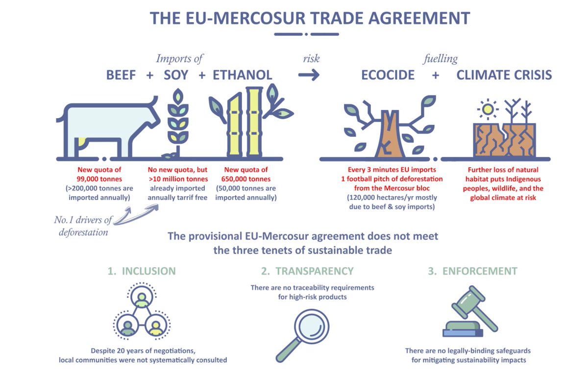 It's crucial that we fix this problem, even without the  #EUMercosur deal - imports from the Mercosur bloc to the EU *already* result in deforestation equivalent to 1 football pitch every 3 minutes.
