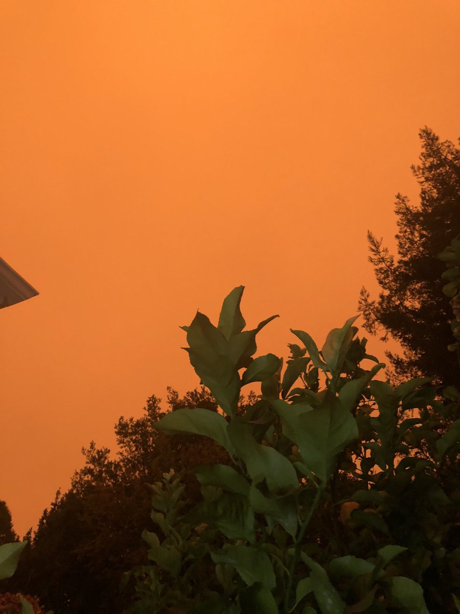 EXPLAINER: Why is the sky orange this AM in the Bay Area? You'll have guessed it was  #wildfire smoke. The bulk of it, says  @ggweather, is coming from the north, via light NW winds aloft. Some of that smoke is coming from way up in  #Oregon.But why so ORANGE?( @RadioBWatt)