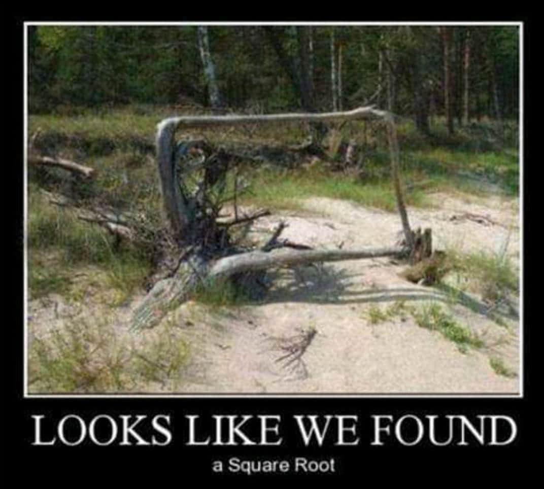 ganseylad's tweet photo. looks like we found .................. https://t.co/z0ITEWsqe5