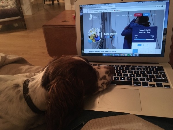 emctrust's tweet photo. How far will Maggie go #RoundBritainYourWay?🐶
This month the 10-month-old sprocker spaniel who loves to run will be wearing a tracker to log her miles. You can place your bets here thanks to our lovely friend @katelsteven - https://t.co/VnVpklGqUW https://t.co/l1fDEITecT