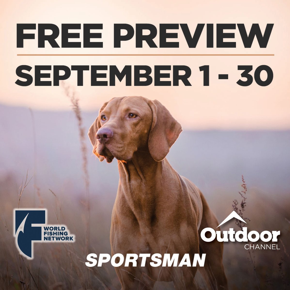 MTCO Communications tweet media