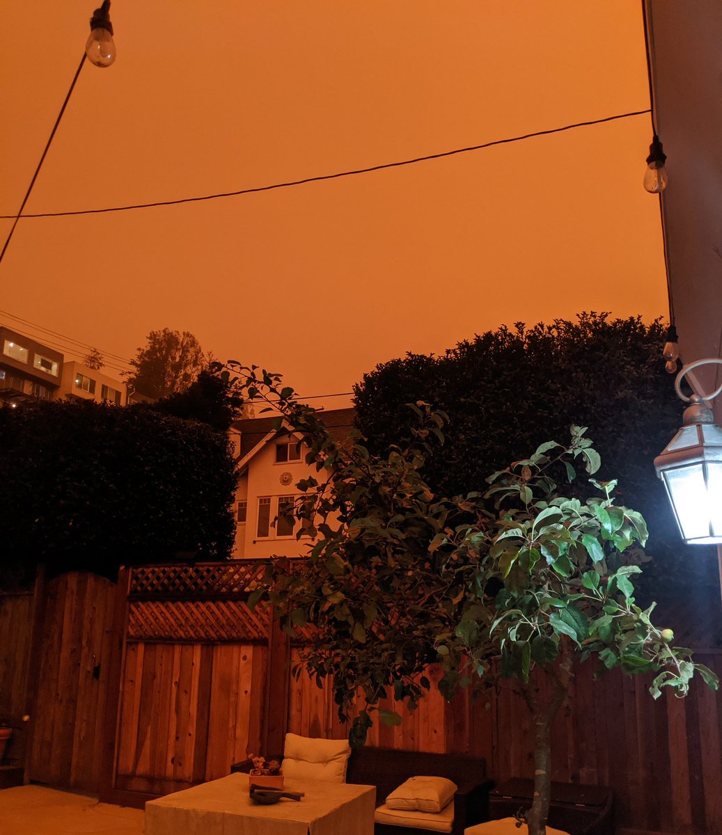 Annette Cardwell tweet media