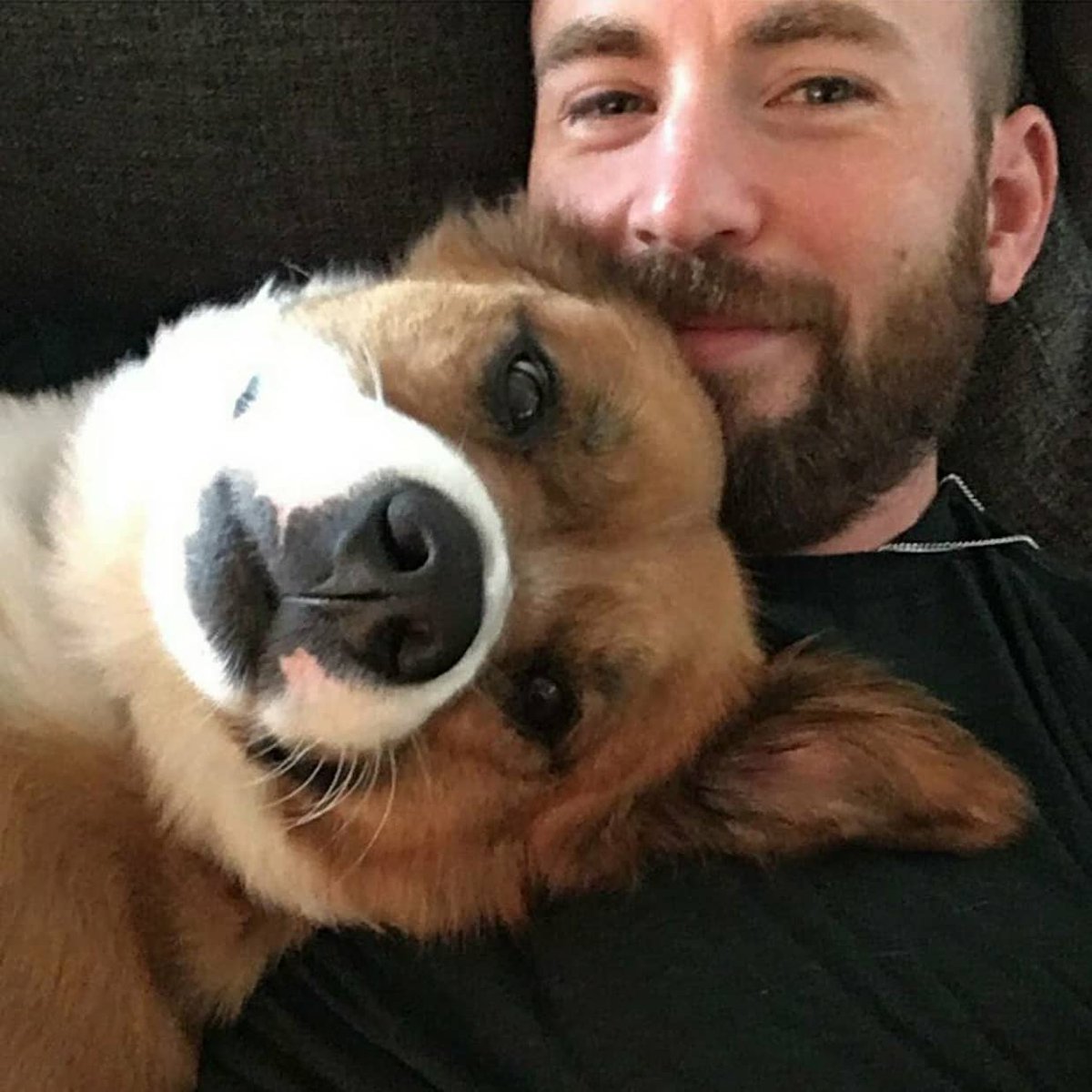 Mintmintdoodles's tweet photo. "He knows his angles" 
- Chris Evans (2020) https://t.co/C12HM4lfJ1