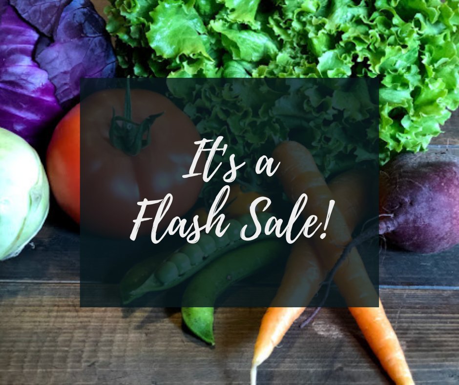 2BKVegetables's tweet photo. While supplies last, we will have the following sale on at the farm today! ⁣

𝘜𝘵𝘪𝘭𝘪𝘵𝘺 𝘊𝘶𝘤𝘶𝘮𝘣𝘦𝘳𝘴 𝟻𝟶% 𝘰𝘧𝘧⁣
𝘗𝘰𝘵𝘢𝘵𝘰𝘦𝘴 ����𝘶𝘺 𝘰𝘯𝘦, 𝘨𝘦𝘵 𝘰𝘯𝘦 𝘍𝘙𝘌𝘌!⁣
𝘊𝘢𝘳𝘳𝘰𝘵𝘴 𝘉𝘶𝘺 𝘰𝘯𝘦, 𝘎𝘦𝘵 𝘰𝘯𝘦 𝟻𝟶% 𝘰𝘧𝘧⁣
⁣ https://t.co/pNa4HmeFCv