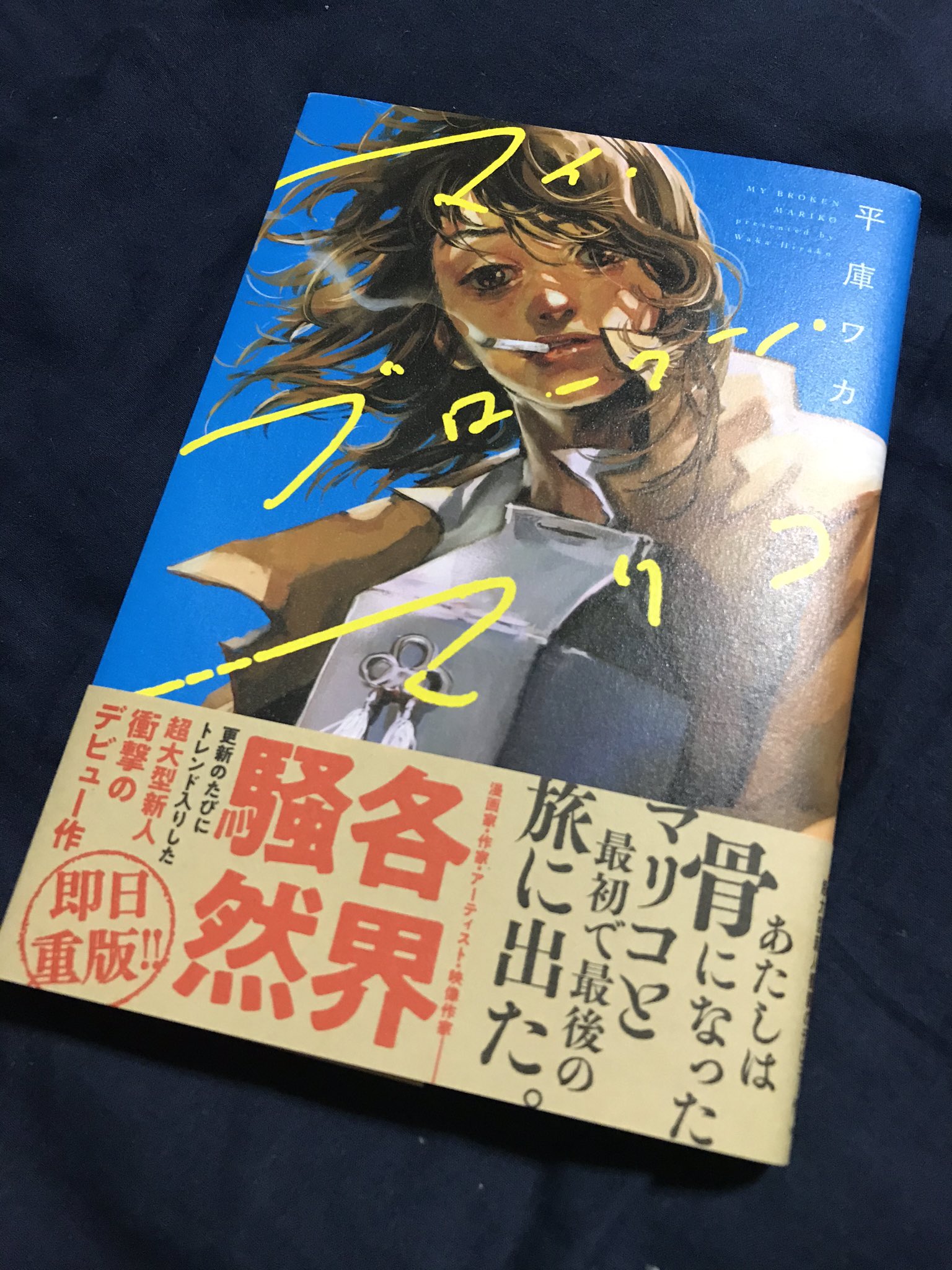 わかき 平庫ワカの マイ ブロークン マリコ を読む 絵柄 アクション描写 回想の手法に松本次郎 の影響がありありと見える この作品のオリジナリティの無さを言いたいわけではないが やはり松本次郎のインパクトというのはそれだけ大きい T