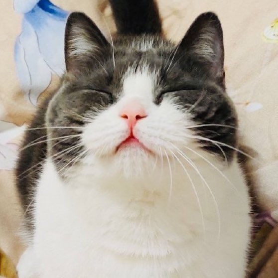 xiaozhan as jianguo: a mini thread