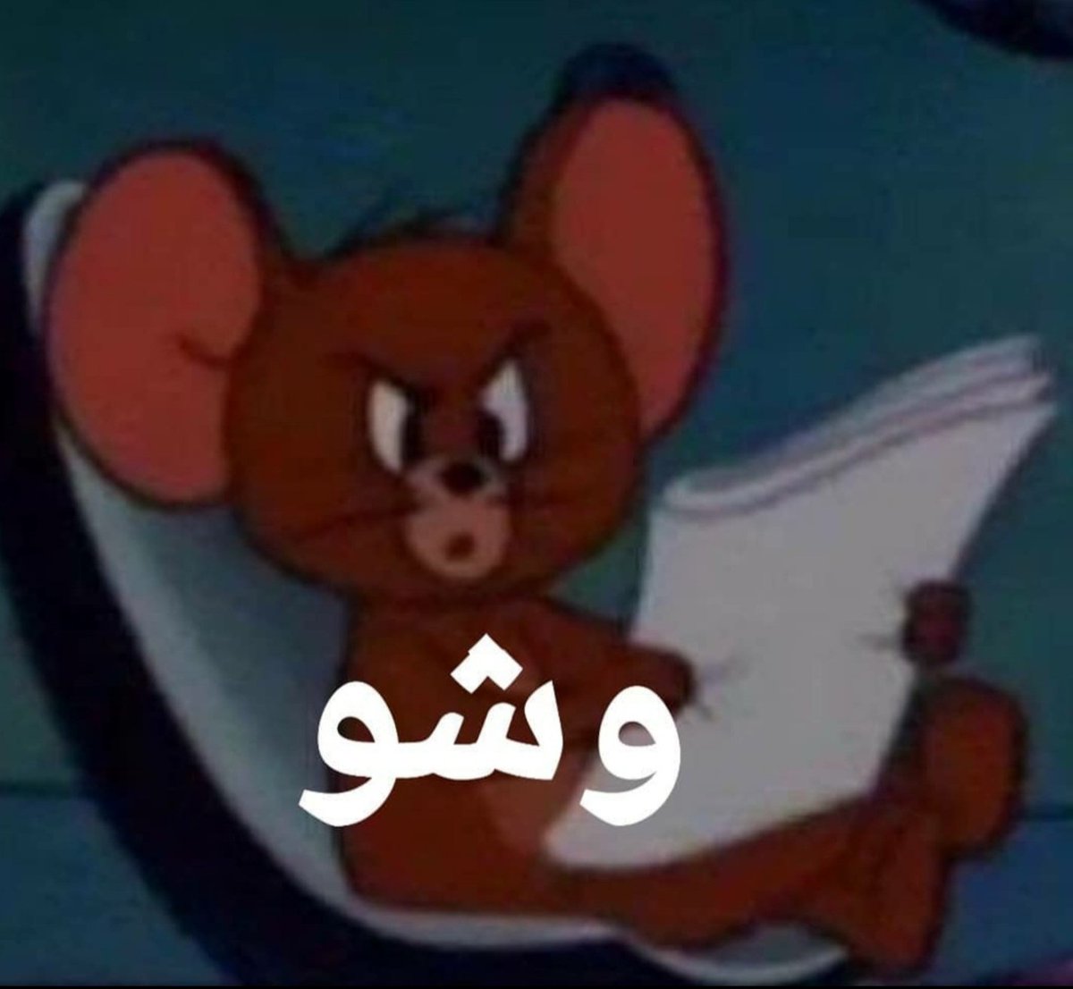 شيماء🇸🇦 tweet media