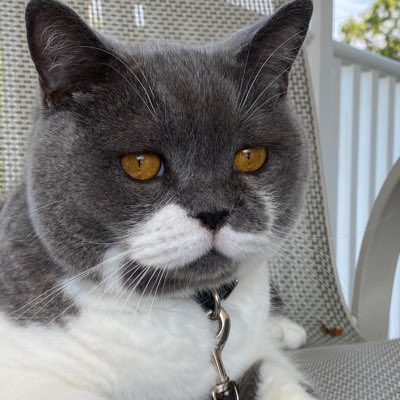 LordGraydon's tweet photo. #NewProfilePic https://t.co/nV5PG72W2H