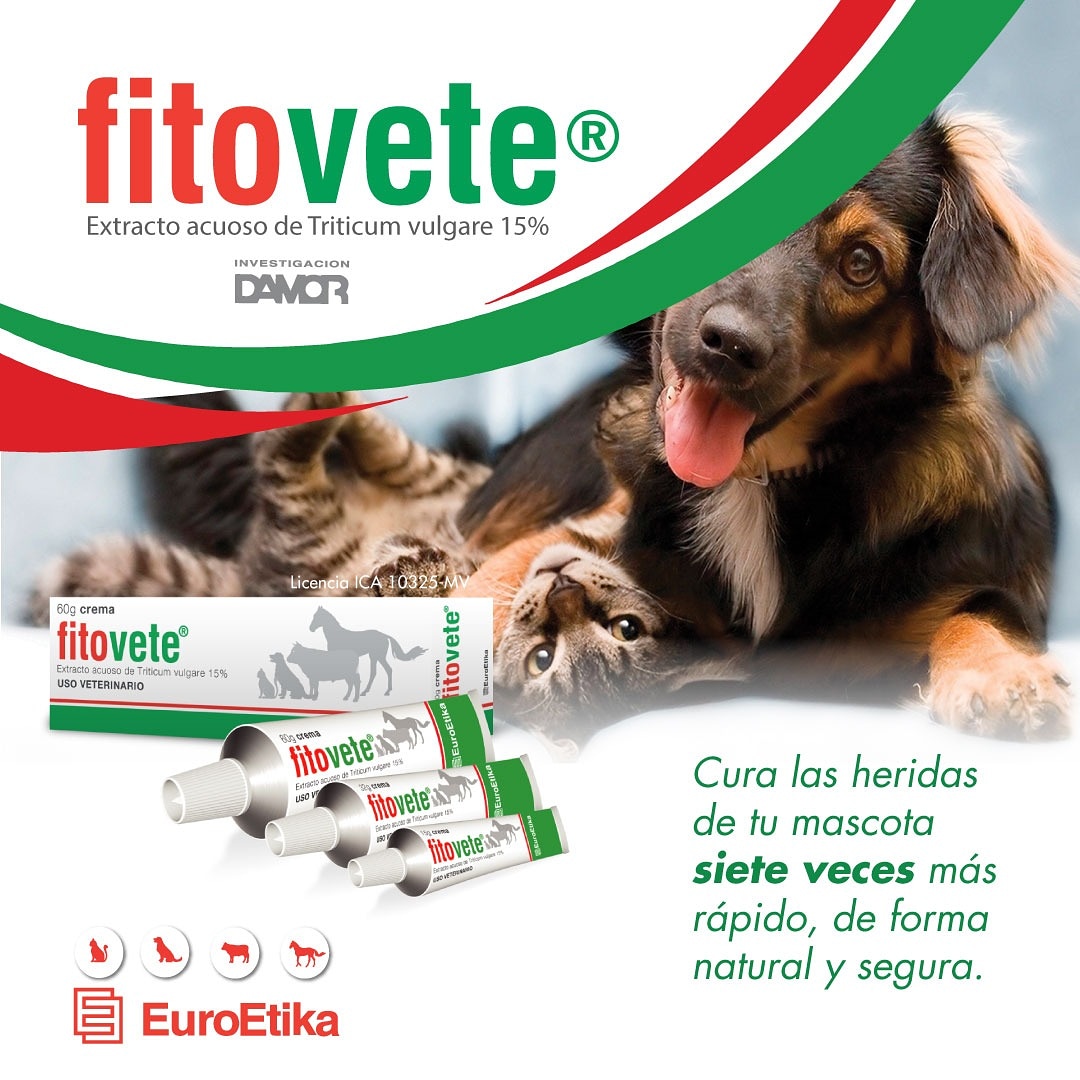 Tu pelud@ tiene heridas? quieres mejorar su proceso de cicatrización? la mejor solución es Fitovete!!! Comunicate con nosotros, asesoría y servicio al cliente 3213570400
#Rappi #Leal #Tekoa #Alimentomascotas #perro #gato #domicilios #grooming #Fitovete #herida #cicatrización