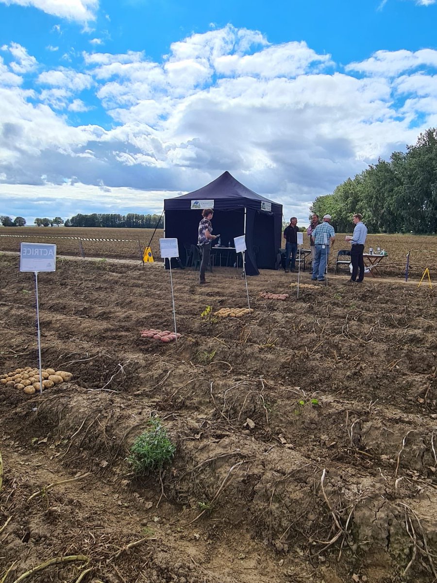 GrampianGrowers's tweet photo. A successful first day at #Coldham today🥔We will be back in the field tomorrow should you wish to visit us and have a look round our varieties on offer https://t.co/JhhWnyNmH1