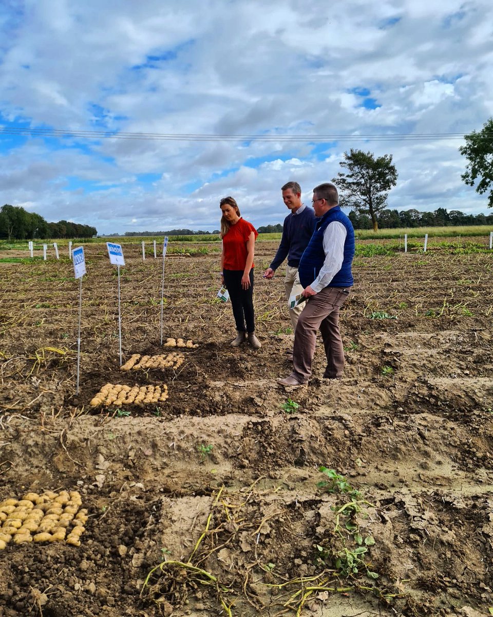 GrampianGrowers's tweet photo. A successful first day at #Coldham today🥔We will be back in the field tomorrow should you wish to visit us and have a look round our varieties on offer https://t.co/JhhWnyNmH1