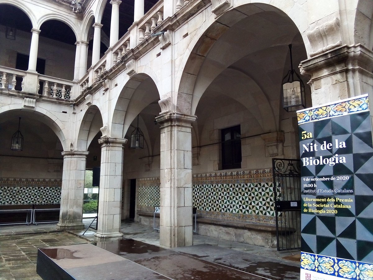 SCB_iec's tweet photo. Tot a punt per a la #NitBio2020 a l'@iec! #PremisSCB2020 https://t.co/Krv8AqJwvS