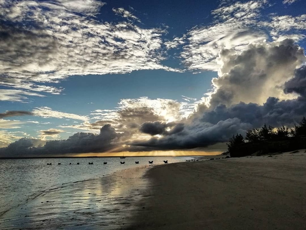 BroosDennill's tweet photo. No-filter fantasy.
.
Anantara Medjumbe Island, Pemba, Mozambique.
.
#anantara #anantaramedjumbe #island #medjumbeisland #medjumbe #mozambique #pemba #africa #travel #traveller #travelgram #travelwriter #travelblogger #tourism #igtravel #igerstravel #igtr… https://t.co/NuoqVbdu2h https://t.co/qOO83BsxYe