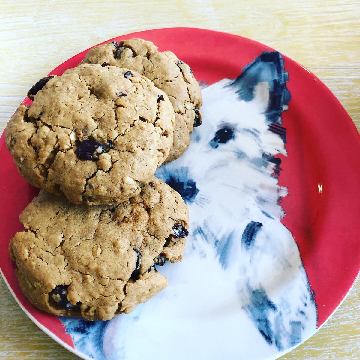 bemorebob2's tweet photo. Pals, apparently these arenโt for Bobs!! Freshly handmade, this weekends cookies are Ginger or Oat & Raisin ๐๐๐
#BeMoreBob #CookiesAndCoffee https://t.co/ZPtfCYNE0p