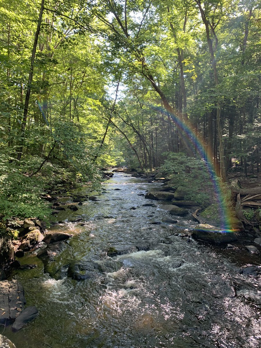 had a magical day hiking with @kelseyayres on Sunday 👯‍♀️🌈