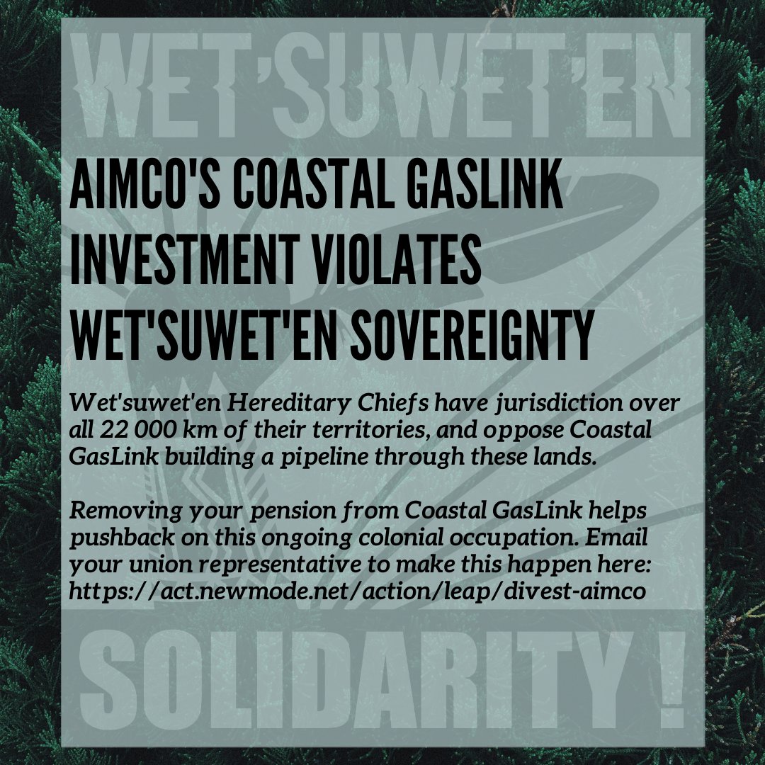 On a dark green background reading "Wet'suet'en Solidarity", a title reads "AIMCo's Coastal GasLink investment violates Wet'suwet'en sovereignty." The text below reads "Wet'suwet'en Hereditary Chiefs have jurisdiction over all 22 000 km of their territories, and oppose Coastal GasLink building a pipeline through these lands. Removing your pension from Coastal GasLink helps pushback on this ongoing colonial occupation. Email your union representative to make this happen here: https://act.newmode.net/action/leap/divest-aimco
