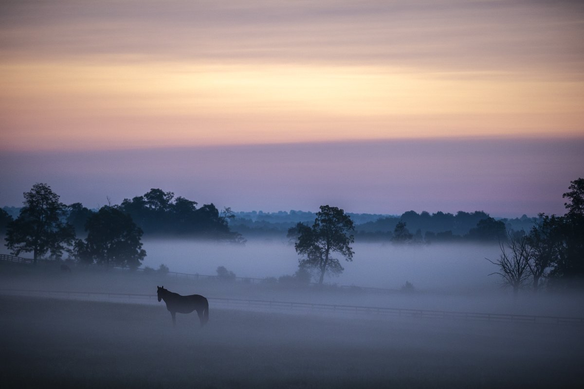 ryanhermens's tweet photo. Fayette County, Kentucky. @heraldleader https://t.co/GFldypeZgv