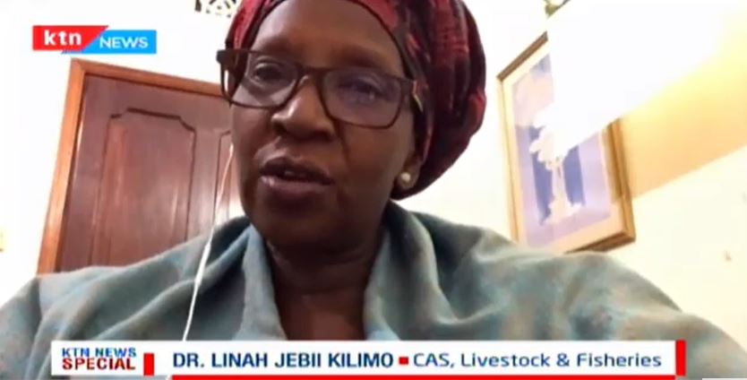 KTNNewsKE's tweet photo. Dr Jebii Kilimo: It has been very difficult to breed donkeys because they are always working. 

#KTNNewsSpecial https://t.co/ZoCvor9jQ9