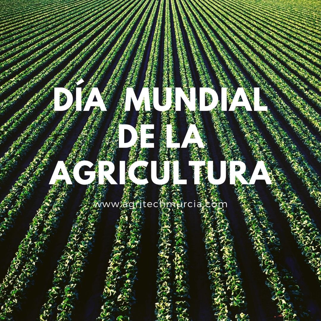 AgritechMurcia's tweet photo. #DiaMundialDeLaAgricultura 
Gracias a todos los agricultores que cada día trabajan para abastecernos con productos sanos y de calidad
#AgritechMurcia https://t.co/bcBDaYYJze
