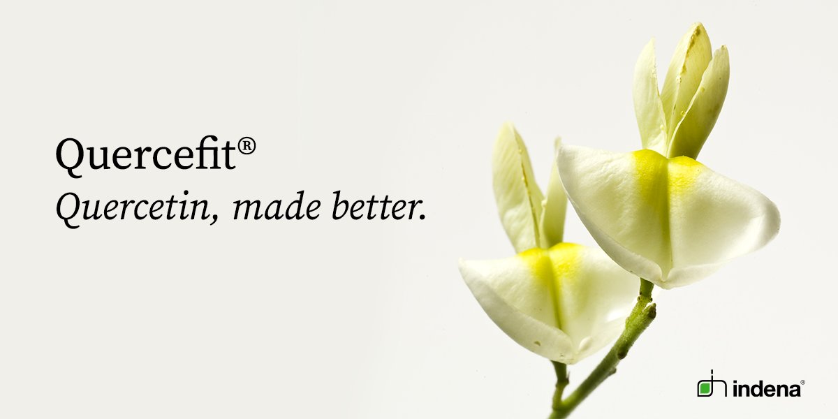 IndenaSpA's tweet photo. Did you know that #Quercefit® unlocks #quercetin’s poor oral bioavailability thanks to Phytosome®, our unique technology? https://t.co/lZHZDAymv5