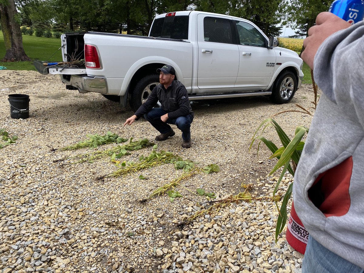 Kaelyn Rahe tweet media