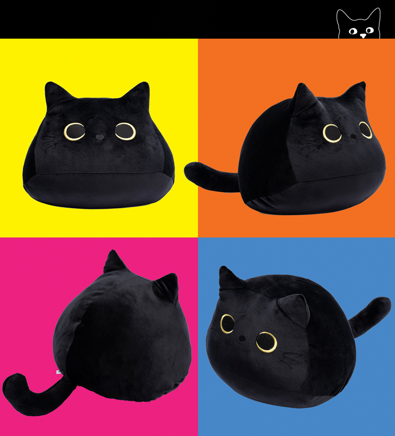 CatLadyBox tweet media