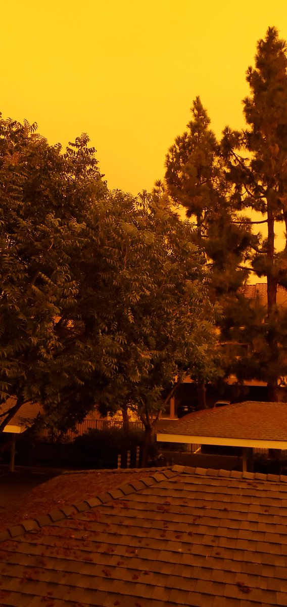 njdesai89's tweet photo. bay area weather feels like already on mars. #BayAreaFires #bayareaweather #yellowskies #BayArea https://t.co/QbljTPkur7