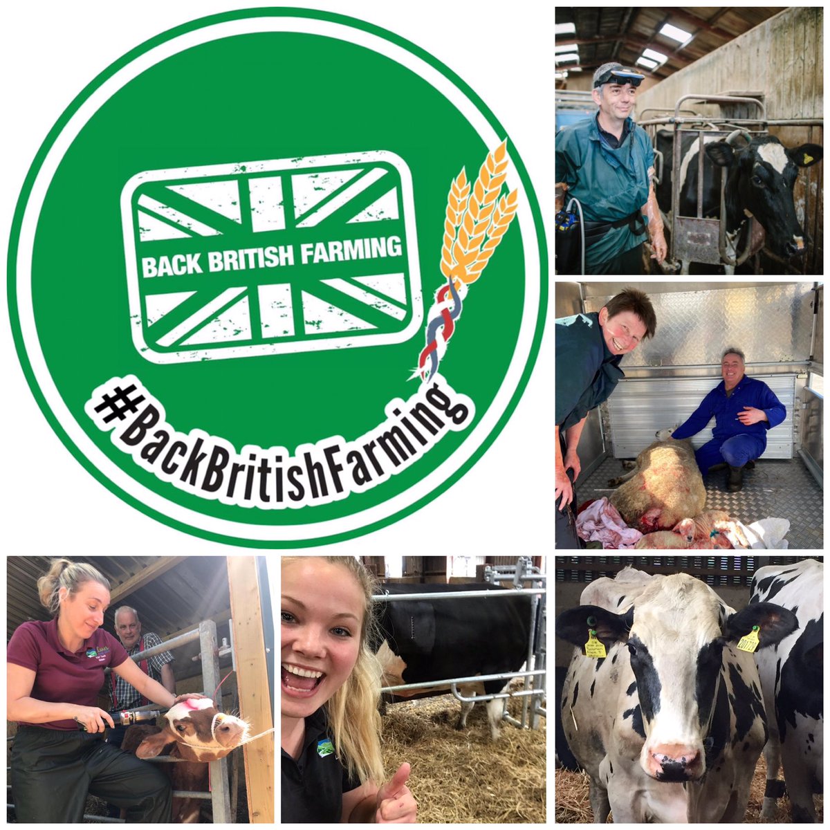 LanesFarmVets's tweet photo. Thank you farmers!! 

#BackBritishFarmingDay https://t.co/VTeJD5HRzu
