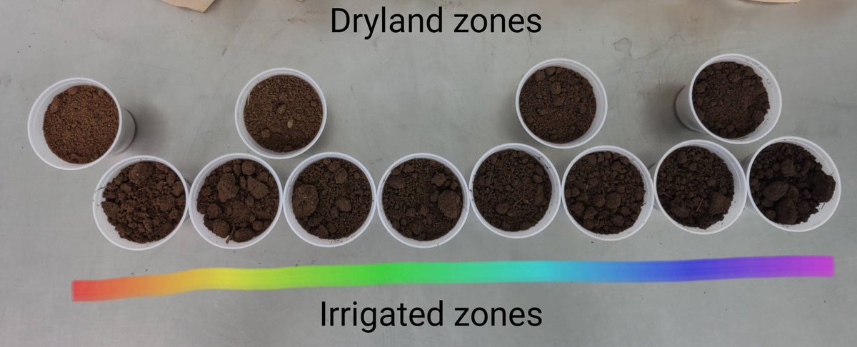 michaeldunnCCA's tweet photo. How important is #SurfaceFlow modeling in zone creation?

Risk of Wetness, which is a form of surface flow modeling, classifies areas of water collection and shedding.

Note how much more detailed this is compared to the colorized elevation map.

Height exaggerated x2 https://t.co/DVRgrWQEEL