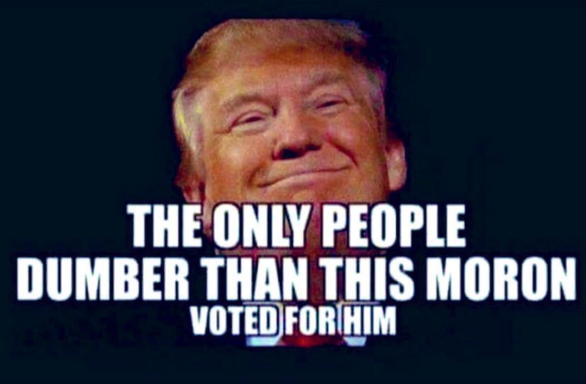 Highlander2273's tweet photo. @JasonMillerinDC @realDonaldTrump If! And It is a big If, it has just been blown right out of the water with the release of the Bob Woodward book and the very revealing tapes. If he gets the Nobel Peace Prize I will give him the fckn money myself. He should be in prison #brainlessfool https://t.co/vP2aOkfSeq