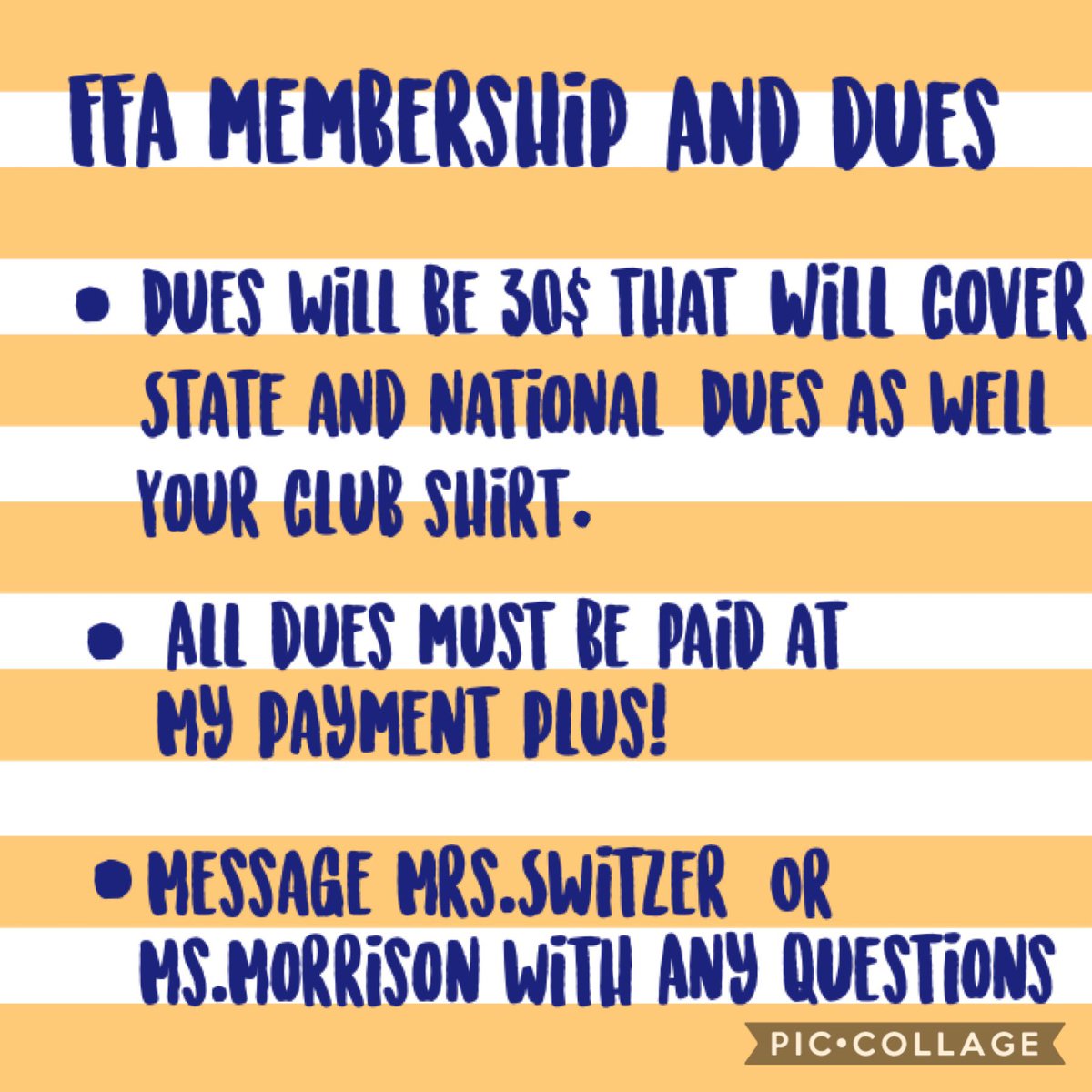 SteinbrennerFfa's tweet photo. FFA membership is open! In order to become a member you must be in an Ag or Vet class. Membership dues are 30$ and can be paid at My Payment Plus. Please message Mrs. Switzer or Ms. Morrison with any questions! https://t.co/rOPrWFlztQ