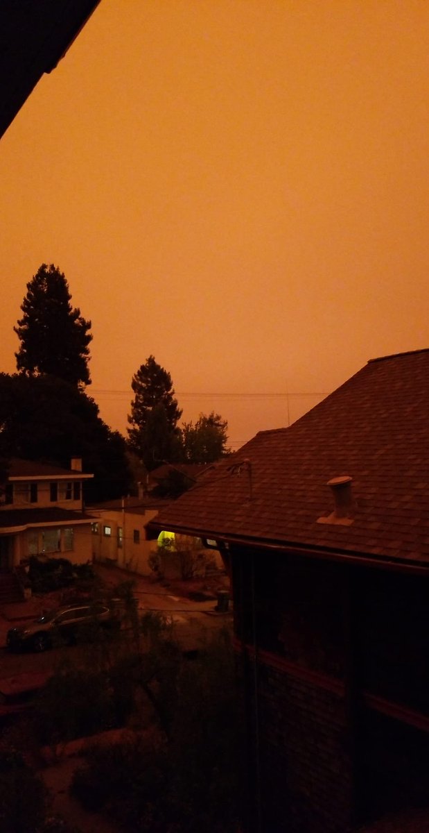 _Sharon97's tweet photo. earth is burning and suffering. so many of our plant relatives are being burned after living for thousands of years. this is another example of why land needs to be given back to Indigenous people. 

Colonialism is behind this. Capitalism is causing this. https://t.co/QjeQLgs0o0