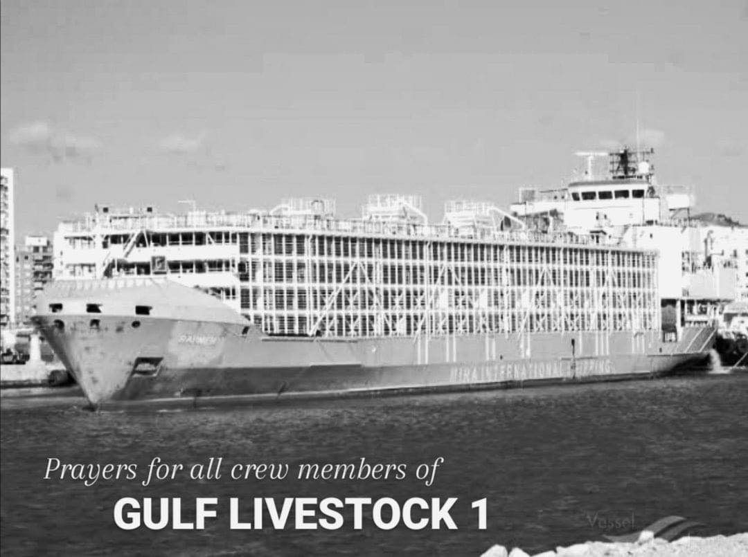 GulfCrew's tweet photo. We are humbly appealing to the Japanese Coast Guard to reconsider, we are appealing to our neighboring countries to help in searching for the crews, and we are asking help from our gov. #GULFLIVESTOCK1 #ResumeSAR #HelpGulfLivestock1Crews #HopeforGL1Crews #Japan #Ph #China #Korea https://t.co/FQbr8i5eEC