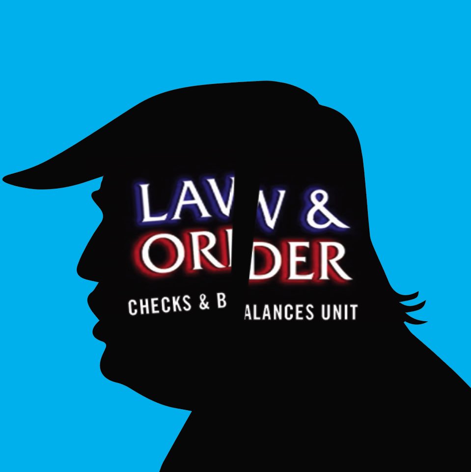 larkinwerner's tweet photo. In the American government system there are a series of checks and balances among the branches to protect against corruption. These are the stories of the public servants who abuse the system to their own gain. DUN DUN. 

#POTUS #LawAndOrder #ChecksAndBalances #Vote #Vote2020 https://t.co/gQCJUwXWFe