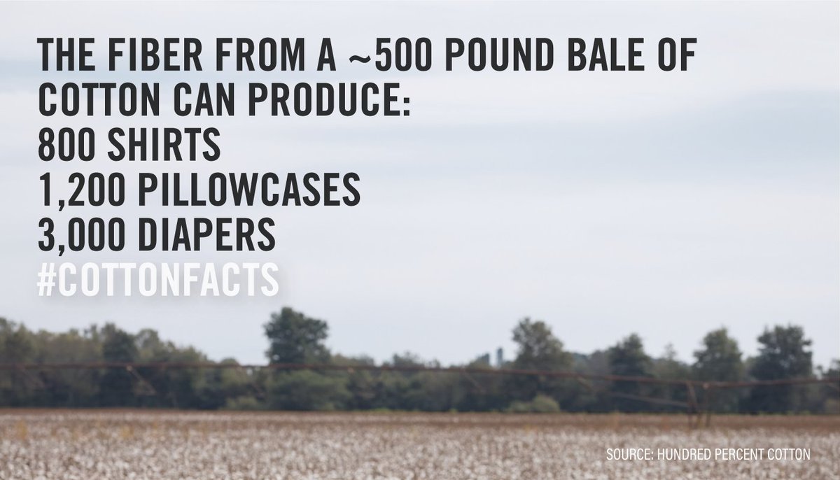 DELTAPINE's tweet photo. Dress head to toe in the fiber you love best. #CottonFacts https://t.co/j9f6Ecpuvr