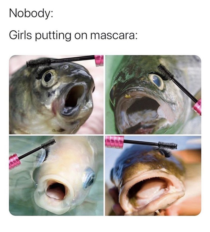 FACTS

📸: Fem Bible