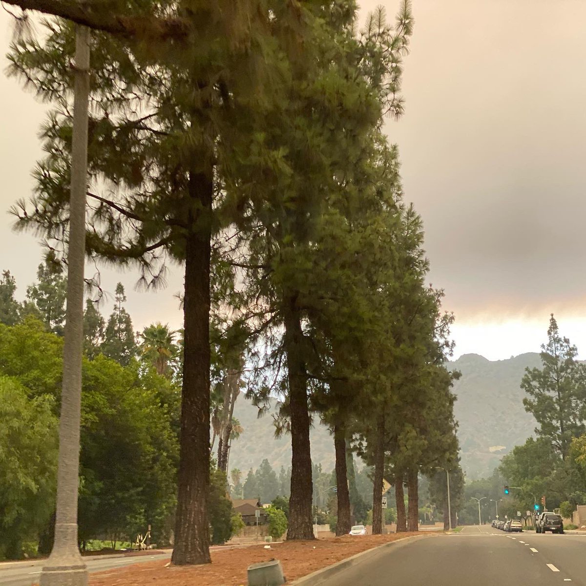 Miguelh25's tweet photo. Underneath a cloud of smoke. #BOBCATFIRE #bobcatfire2020 a big thank you to all public safety. Stay safe! https://t.co/YIba4rKYyH
