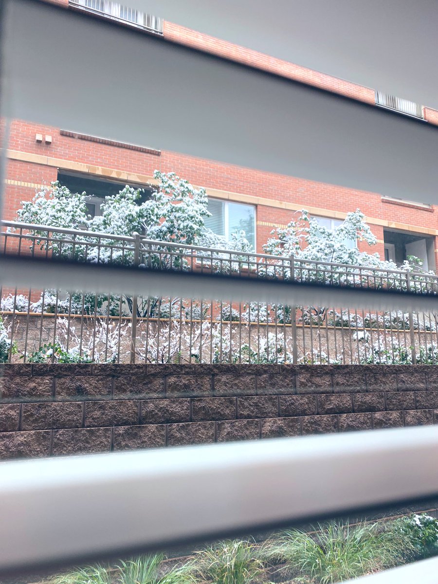 _ms_Ani's tweet photo. Woke up to this 🤷🏻‍♀️ https://t.co/wQnD3BRyVn