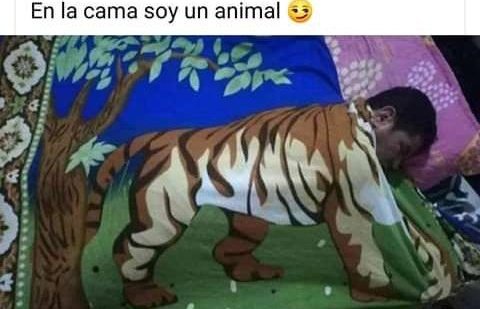 saigon_letal's tweet photo. Definitivamente soy un tigre en la cama  😎😏😏😏 https://t.co/VoMlDmDDno