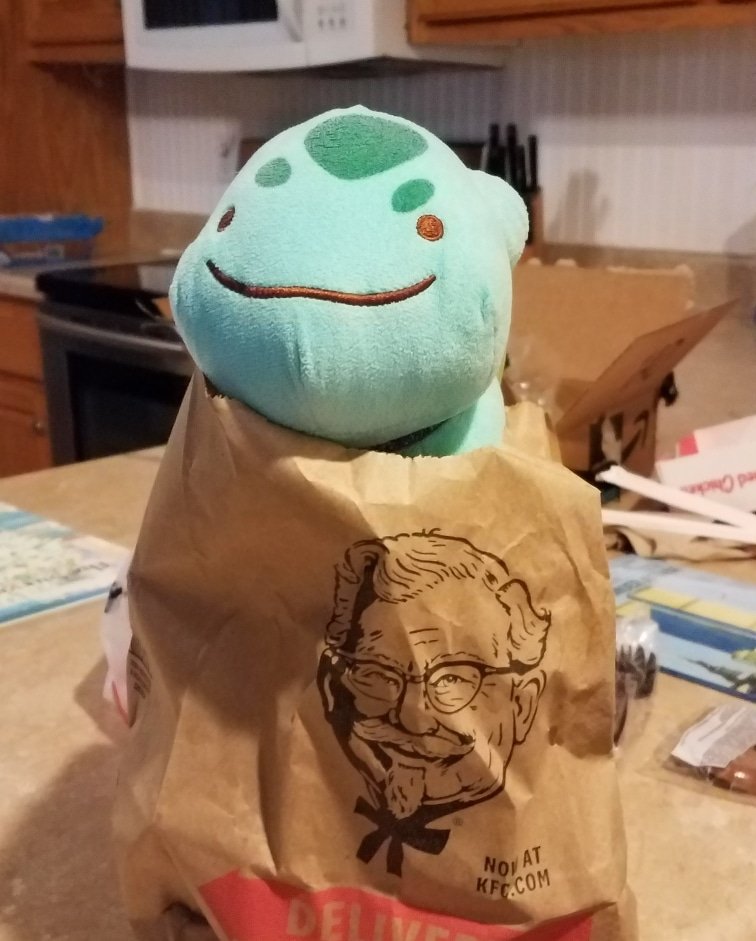 ditto_bulba's tweet photo. Pokemon are friends, not food. #dittoasbulbasaur #Pokemon #dittolife https://t.co/CUev3P1DYL